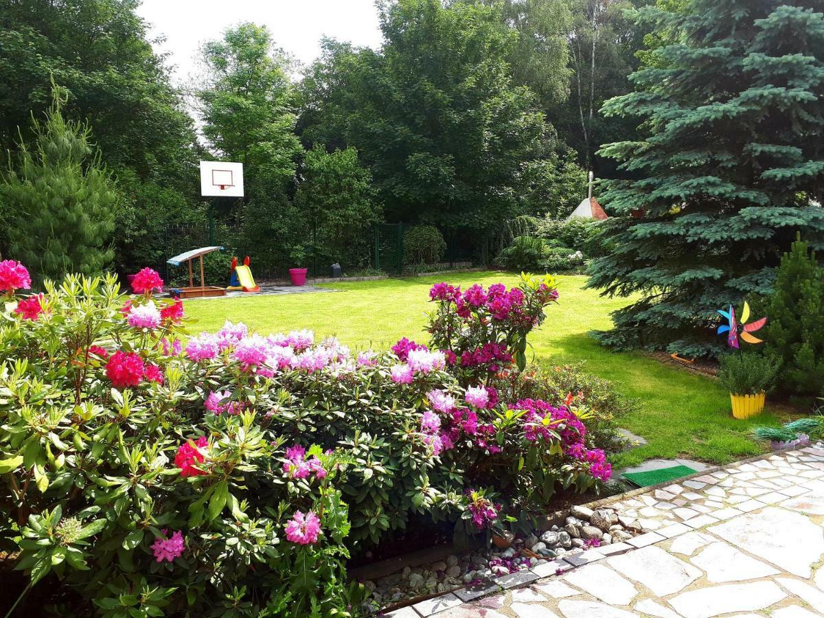 Villa-Seerose Köln Exteriör bild