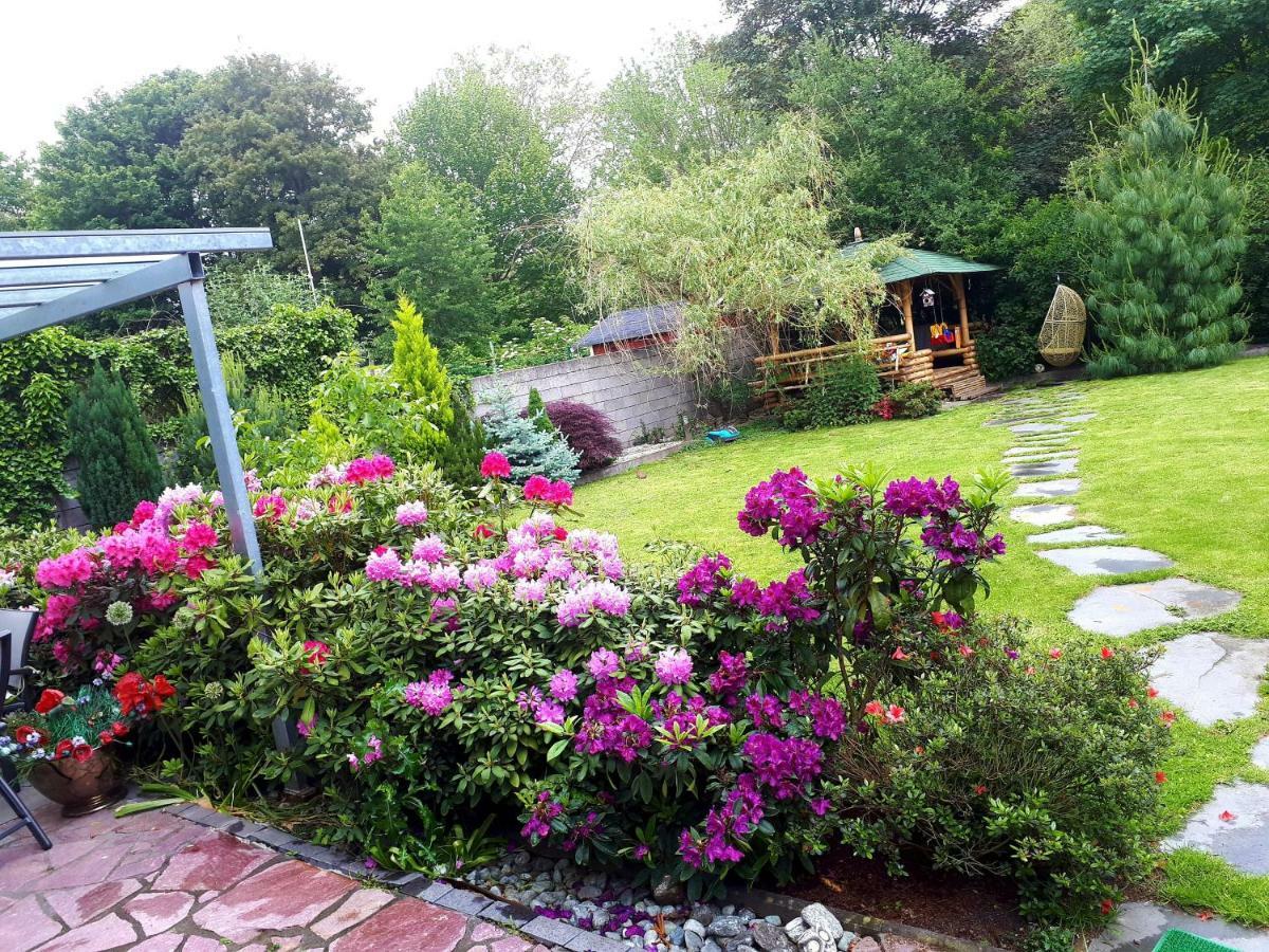 Villa-Seerose Köln Exteriör bild